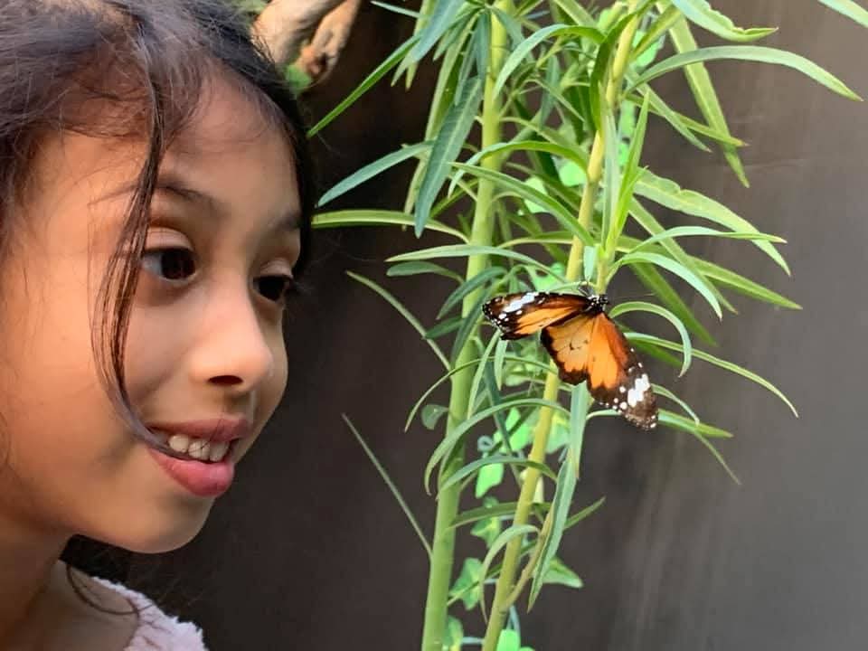 Girl watching a butterfly